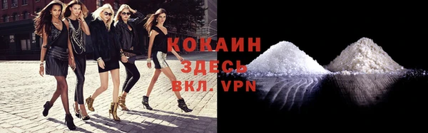 бошки Белокуриха