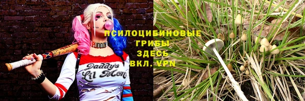 бошки Белокуриха