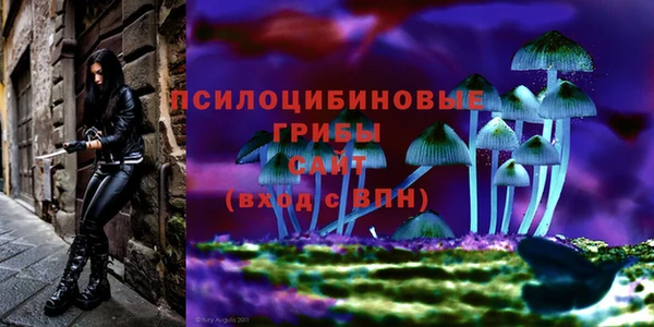 MDMA Premium VHQ Беломорск