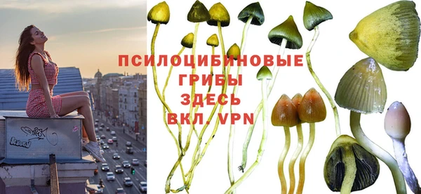 хмурый Белоозёрский