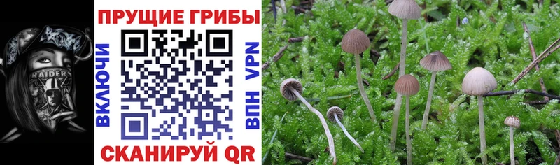 Псилоцибиновые грибы мухоморы  Очёр 